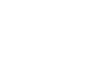 Saltech Systems